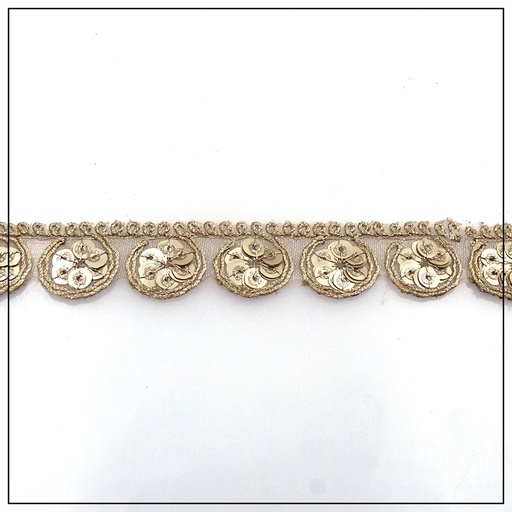 Fancy Sequence Lace
