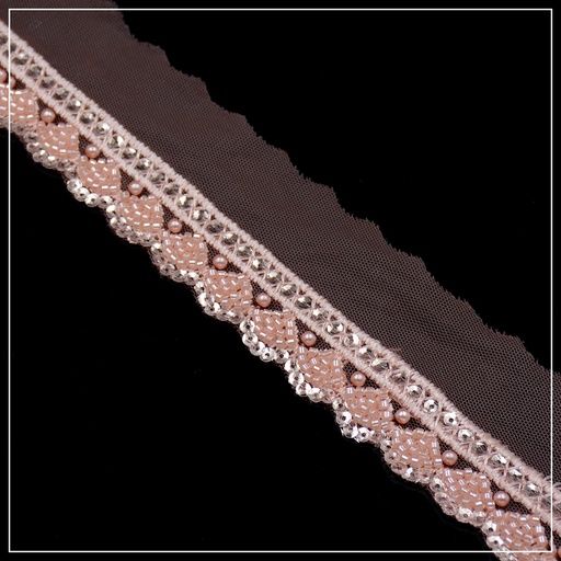 Fancy Glass Beads Net Lace