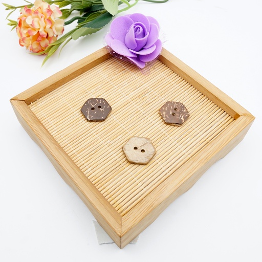 [CB07830 BEIGE] Hexagon Shape 2 Hole Coconut Button