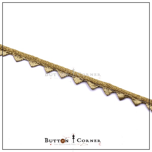 Fancy Gota Border Lace