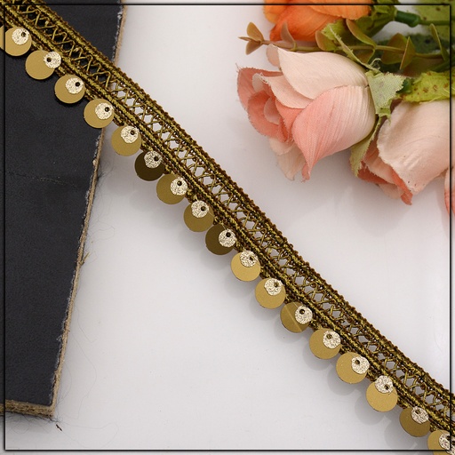 Fancy Gota Lace