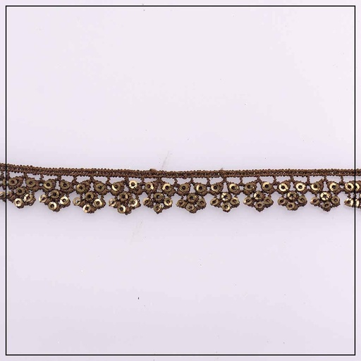 One Side Border Sequence Lace