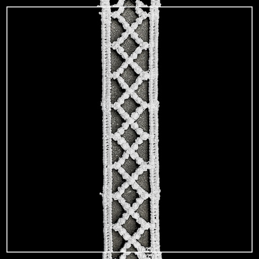 Double Side Border Shuttle Lace
