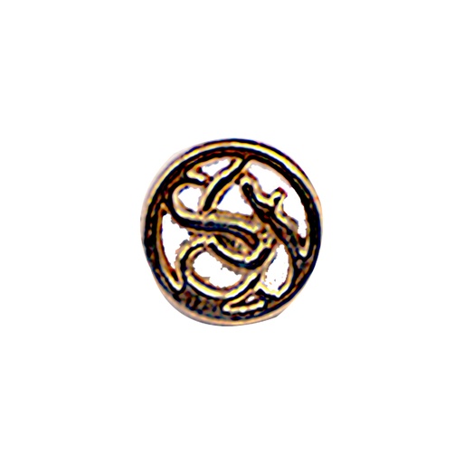 [MBA1638-GOLD] Interior Design 2 Hole Shirt Button