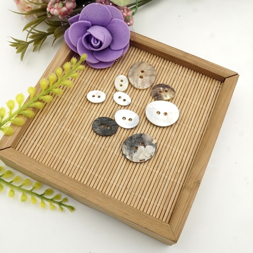 Agoya Japan Oval Shape 2 Hole Shell Button
