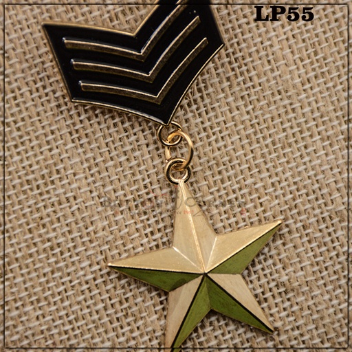 [LP55-BLACK GOLD] Star Shape Medal Type Brooch
