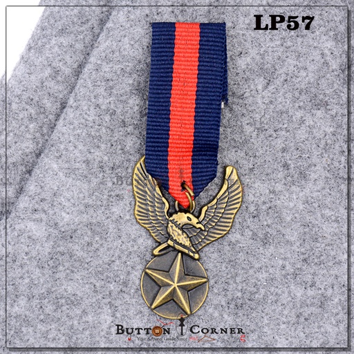 [LP57 MULTI] US AIR Force Star Eagle Wing Brooch