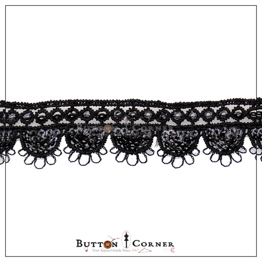 Fancy Sequence Lace