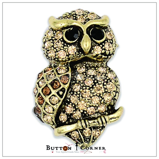 Owl🦉With Diamonds Brooch