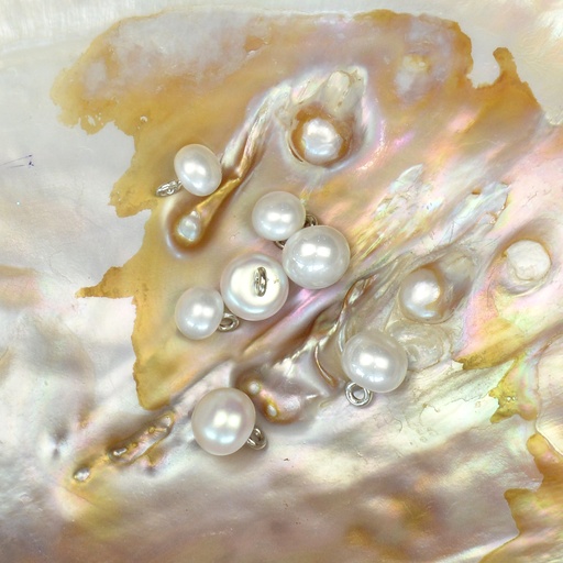 Doom Shape Pearl In Wire Button