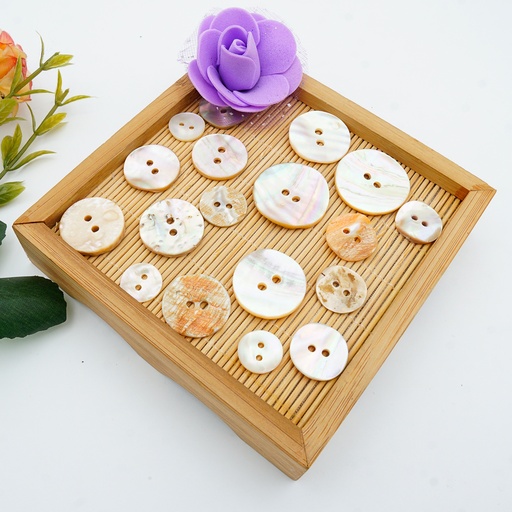 Mother Of Pearl Round 2 Hole Shell Button
