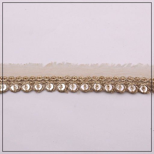 One Side Fancy Sequence Lace