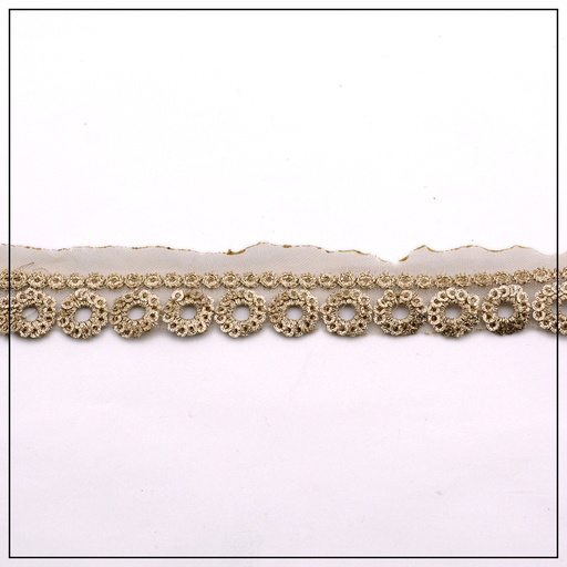 Fancy Sequence Lace