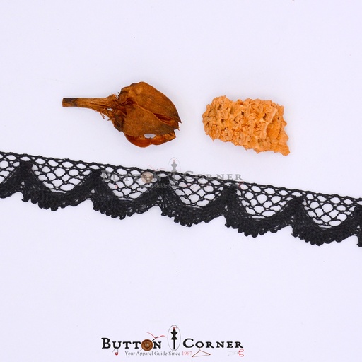 [TL17-BLACK] One Side Border Metallic Yarn Lace