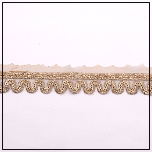 Fancy Sequence Lace