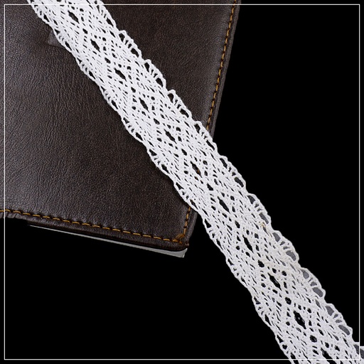 [CRL30 WHITE] Double Side Border Crochet Lace